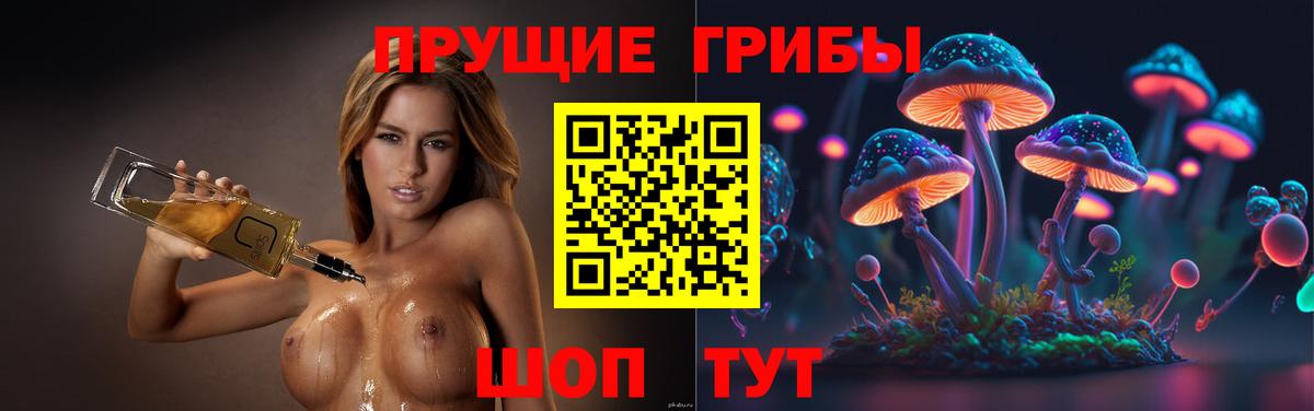 Галлюциногенные грибы Cubensis  купить   Муравленко  Вход с VPN 